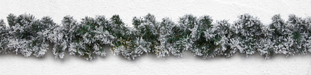 Picture of 2.7m Flocked Spruce Garland