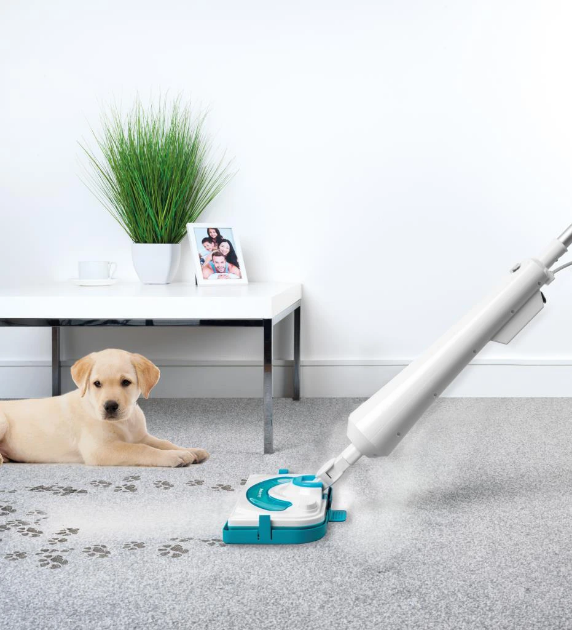 Picture of Beldray Detergent Steam Cleaner