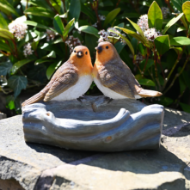 Picture of Country Living Robin Bird Bath